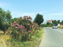 9750271b-6e93-4917-9523-1e9c06ad69b9